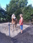Coaching voor de paardenvrouw &ndash; bewustwording &amp; zelfinzicht