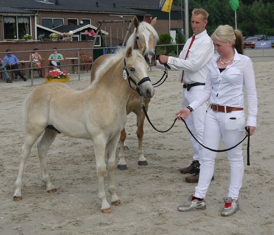 Alexander van de Achterduijst