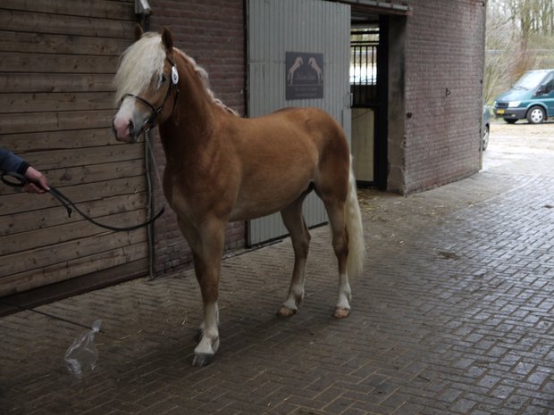 Nescio van de Achterduijst