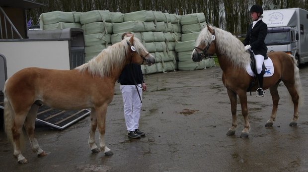 Nescio van de Achterduijst