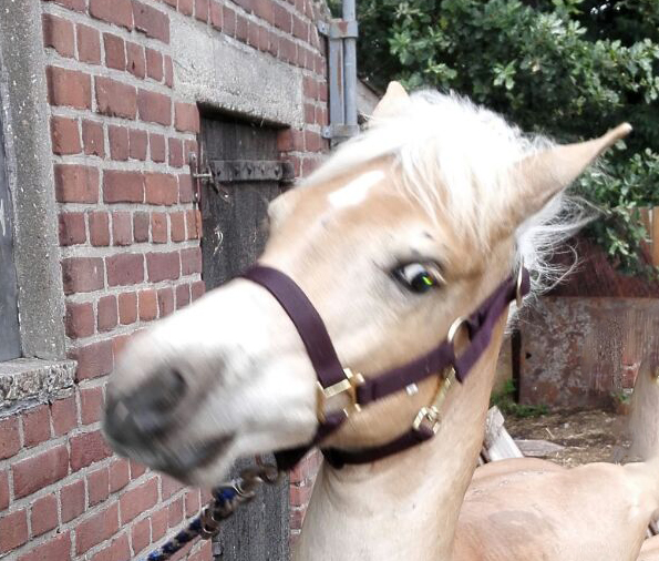 beledigd boos, in strijd met jezelf, verbaast over je strijd,